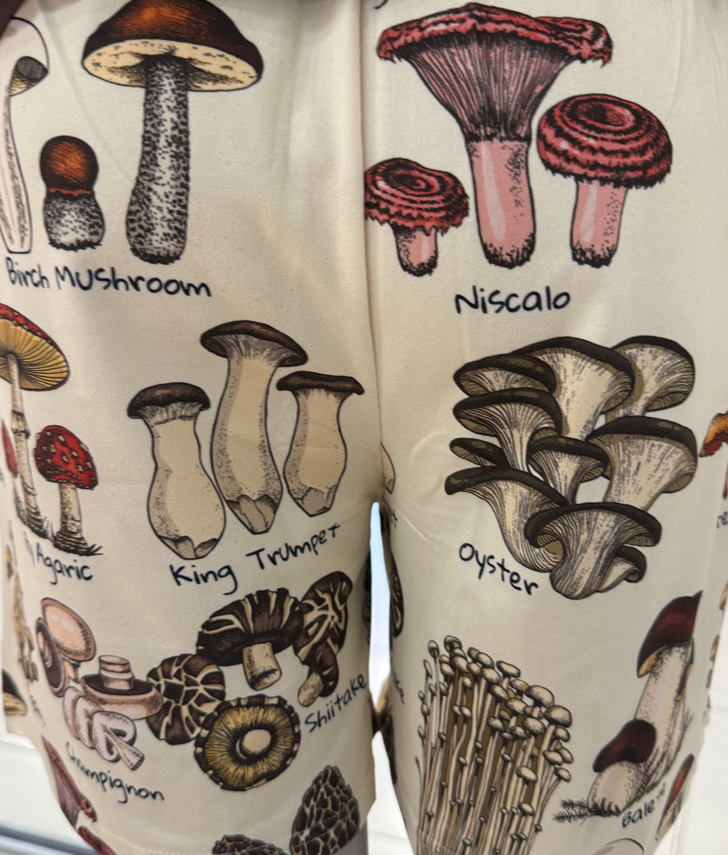 Brief Insanity Boxer Shorts