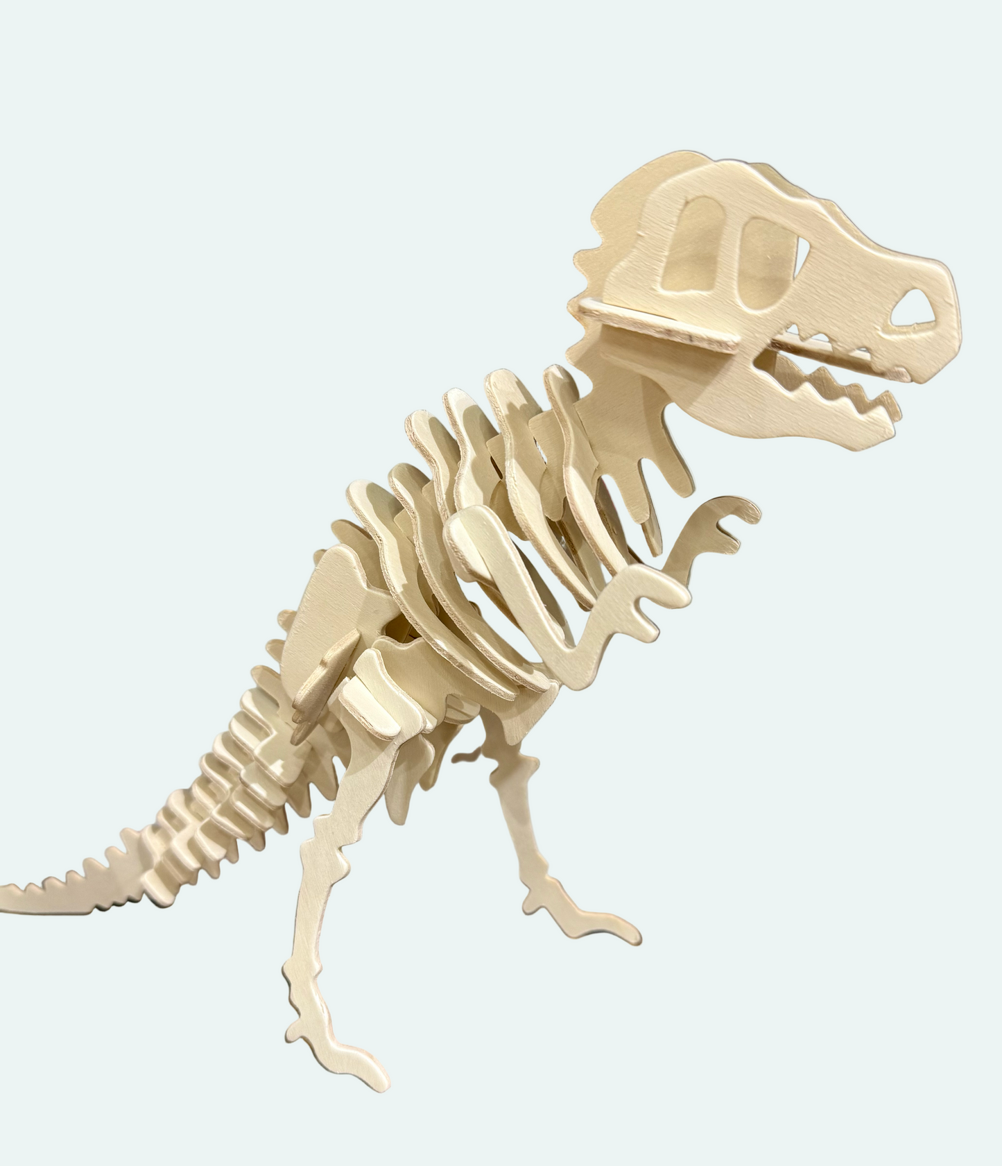 Wooden dinosaur skeleton model on a light gray background