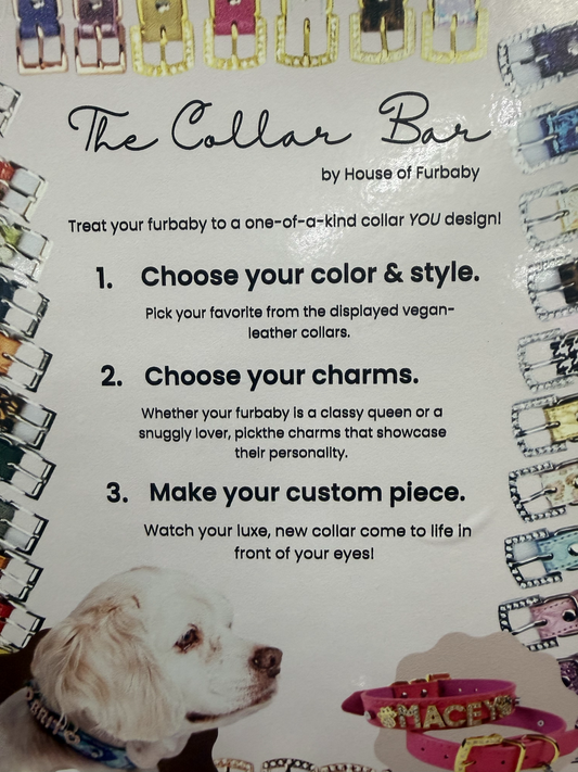 Pet Collar Charm