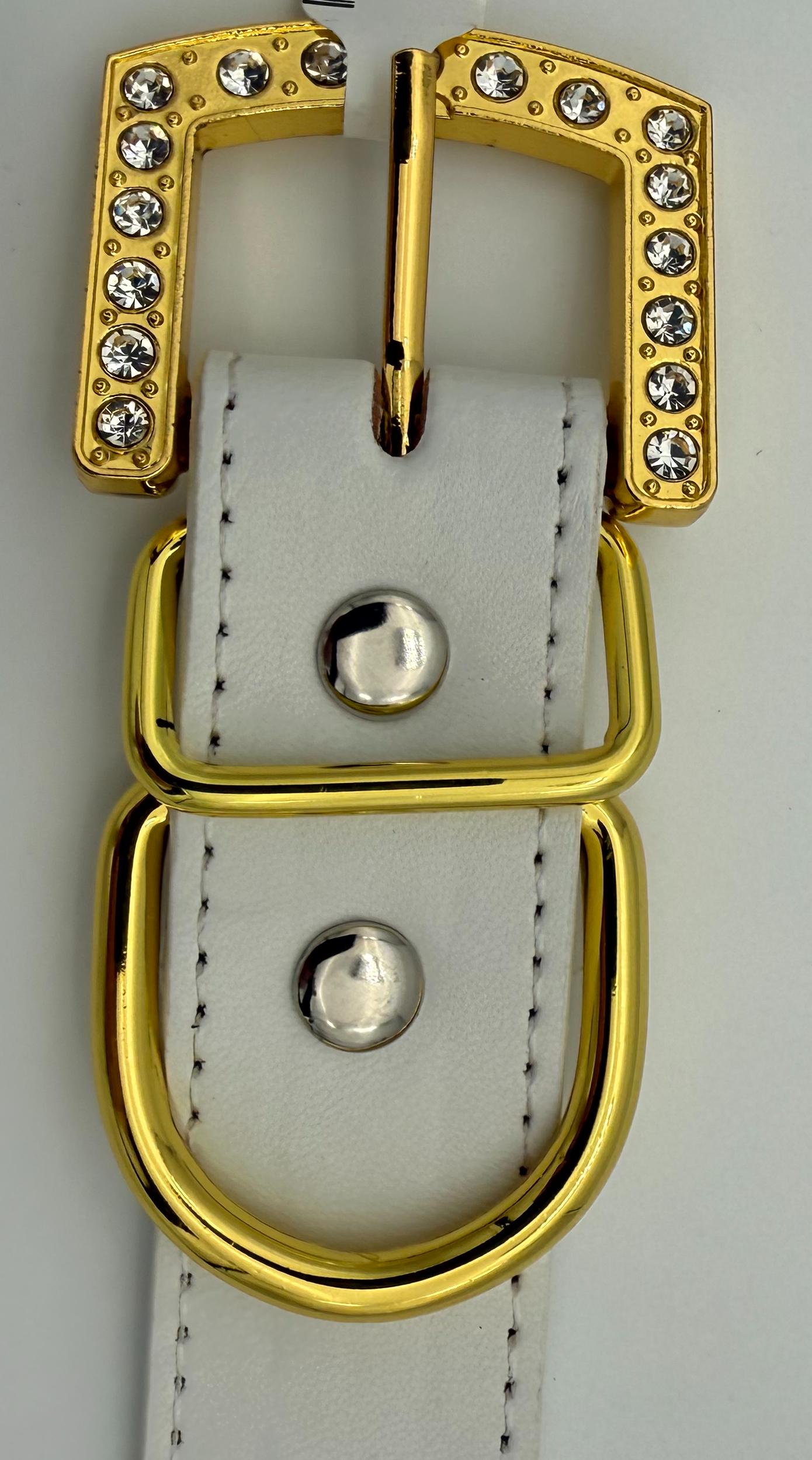 Pet Collar for charms
