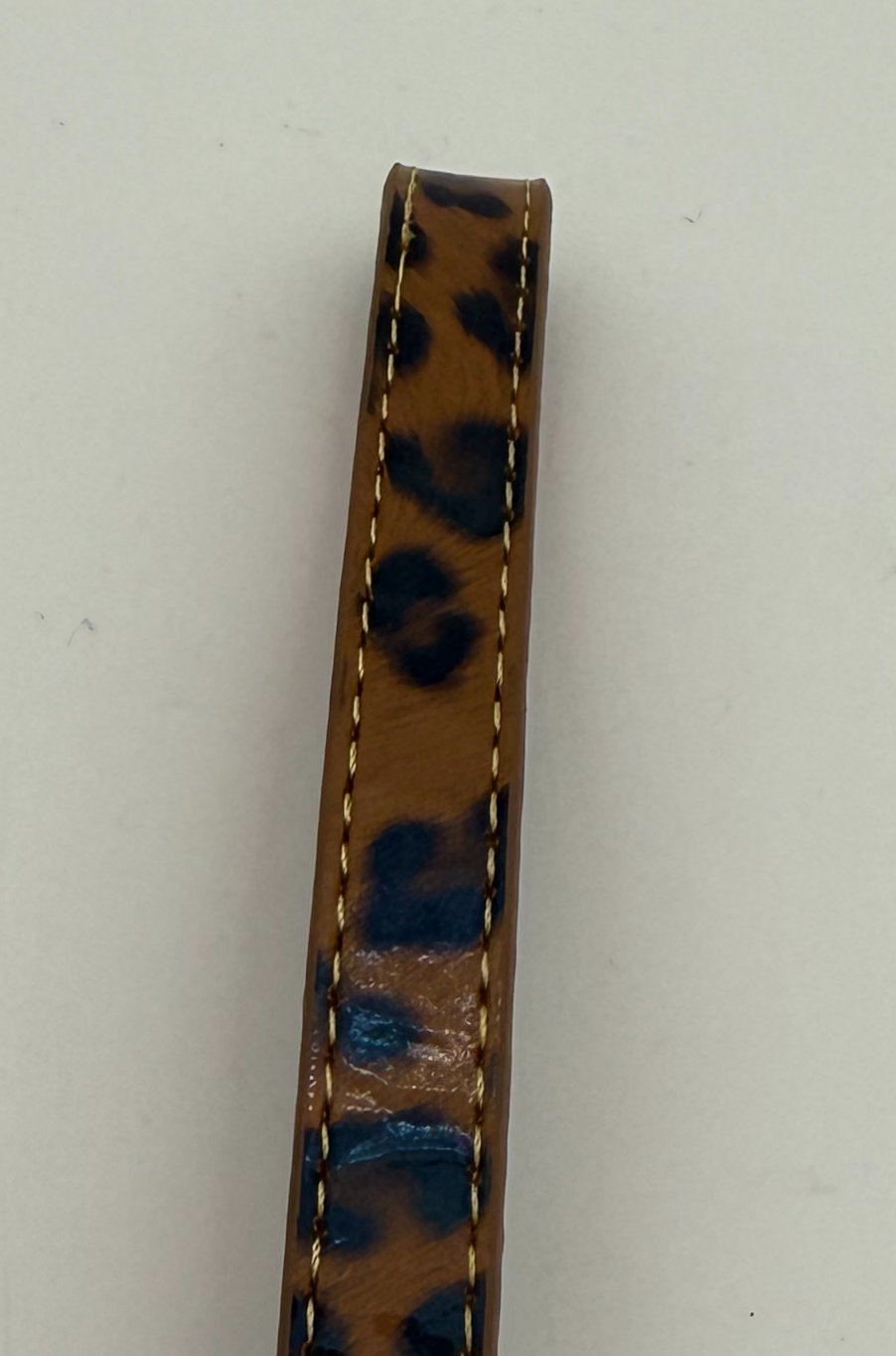 Pet Leash