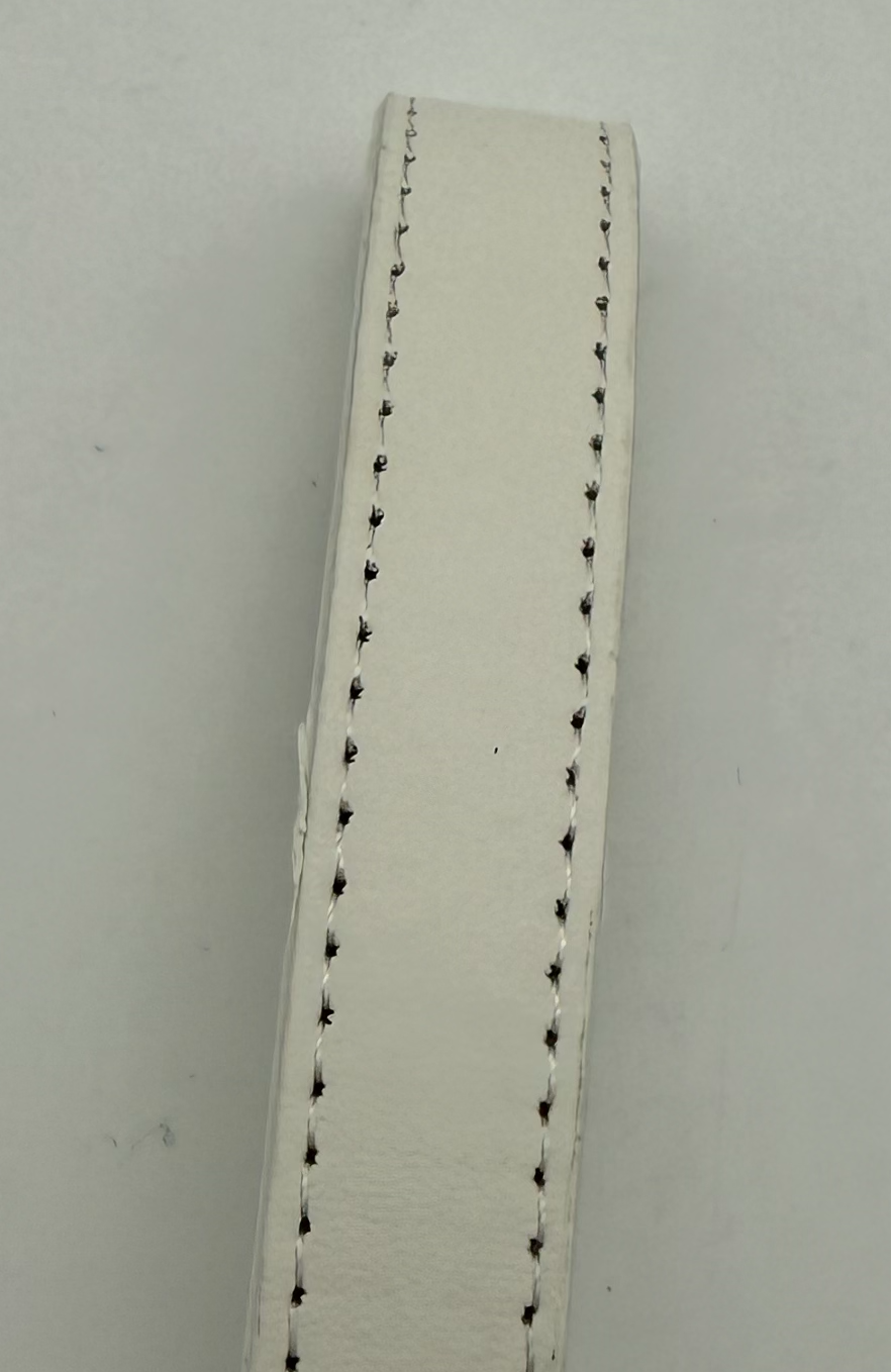 Pet Leash