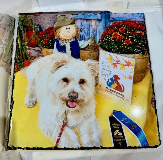 Photos On Slate